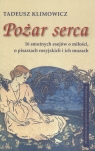 Pożar serca 16 smutnych esejów o miłości, o pisarzach rosyjskich i ich Tadeusz Klimowicz