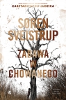 Zabawa w chowanego