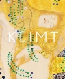 Klimt. The Bigger Picture Thiebaut Philippe