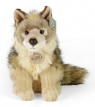  Wilk 24cm