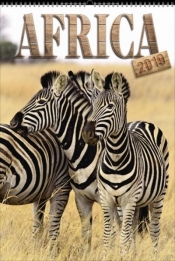 Kalendarz 2019 Wieloplanszowy Africa