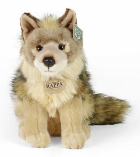 Wilk 24cm