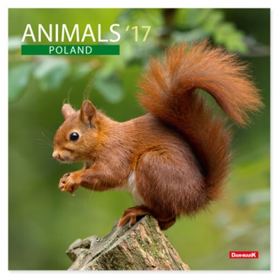 Kalendarz 2017 13PL 300x300 Animals PL DAN-MARK