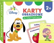 Disney Maluch Karty Obrazkowe Dla Małych Bystrzaków