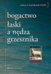 Bogactwo łaski a nędza grzesznika - Napiórkowski Andrzej A.