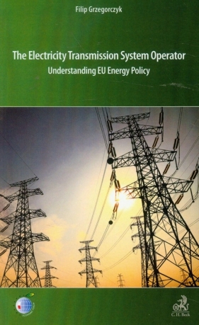 The electricity transmission system operator - Grzegorczyk Filip