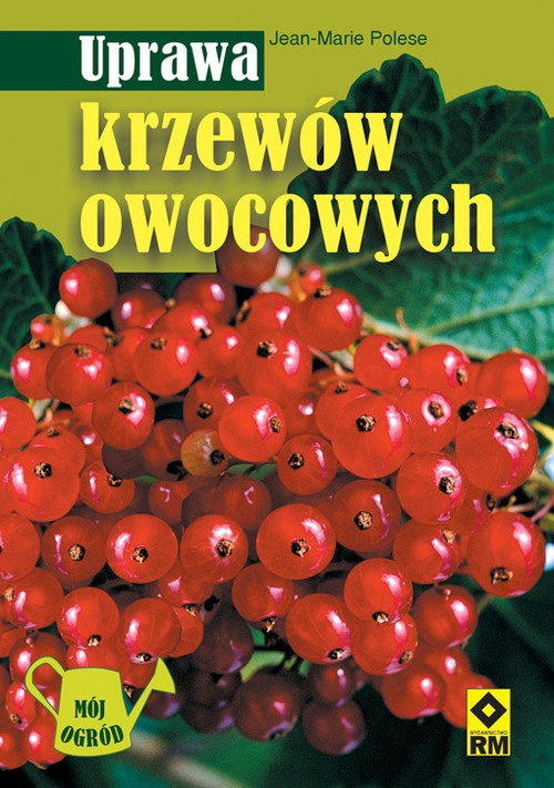 Uprawa krzewów owocowych