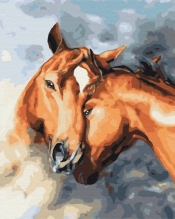 Obraz Malowanie po numerach - Czułe konie (BS28717)
