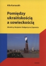 Pomiędzy ukraińskością a sowieckością Ukraińcy, Rosjanie i Karnaukh Alla