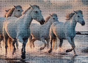 Puzzle 1000: Wild Horses 4