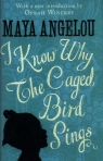 I Know Why The Caged Bird Sings Angelou Maya