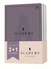 Zeszyt A5/60k kratka - Academy Hybrid, 3 szt.