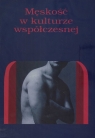 Męskość w kulturze współczesnej  Radomski Andrzejki, Truchlińska Bogumiła (red.)