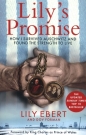 Lily's Promise - Lily Ebert, Dov Forman