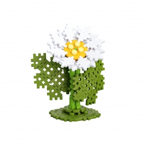 Mini Waffle Garden - Margaretka