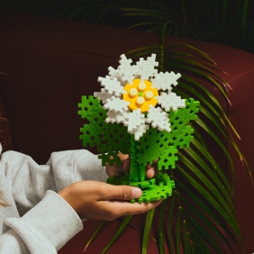 Mini Waffle Garden - Margaretka
