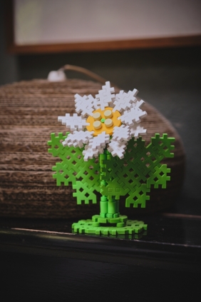 Mini Waffle Garden - Margaretka