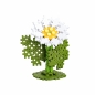 Mini Waffle Garden - Margaretka