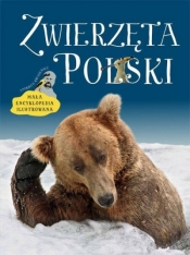 Zwierzęta Polski. Mała encyklopedia ilustrowana (Uszkodzona okładka) - Andrzej G. Kruszewicz