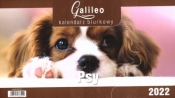 Kalendarz 2022 Biurkowy Galileo Psy CRUX