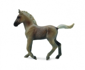 Źrebię rasy Rocky Mountain M (88799)